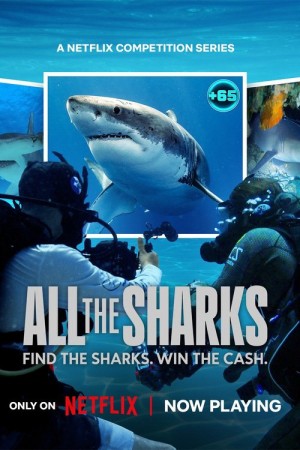 Đi tìm cá mập (All the Sharks) [2025]