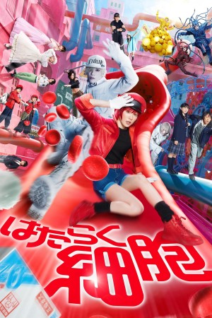 Khi tế bào làm việc (Cells at Work!) [2024]