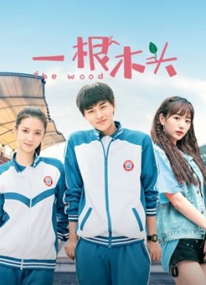 Một Khúc Gỗ Mùa 1 (c) [2020]