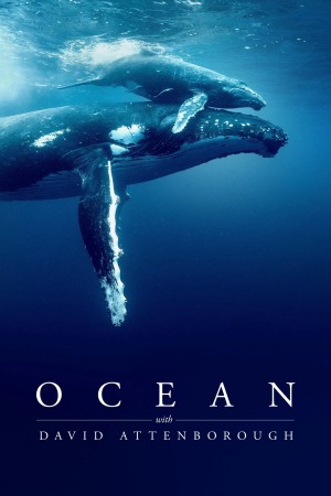 Ocean with David Attenborough (Ocean with David Attenborough) [2025]